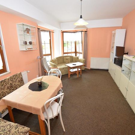Snug Apartment In Jachymov Near Ski Area Zewnętrze zdjęcie